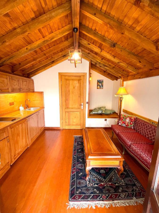 Authentic Turkish Home Family Room 伊斯坦布尔 外观 照片